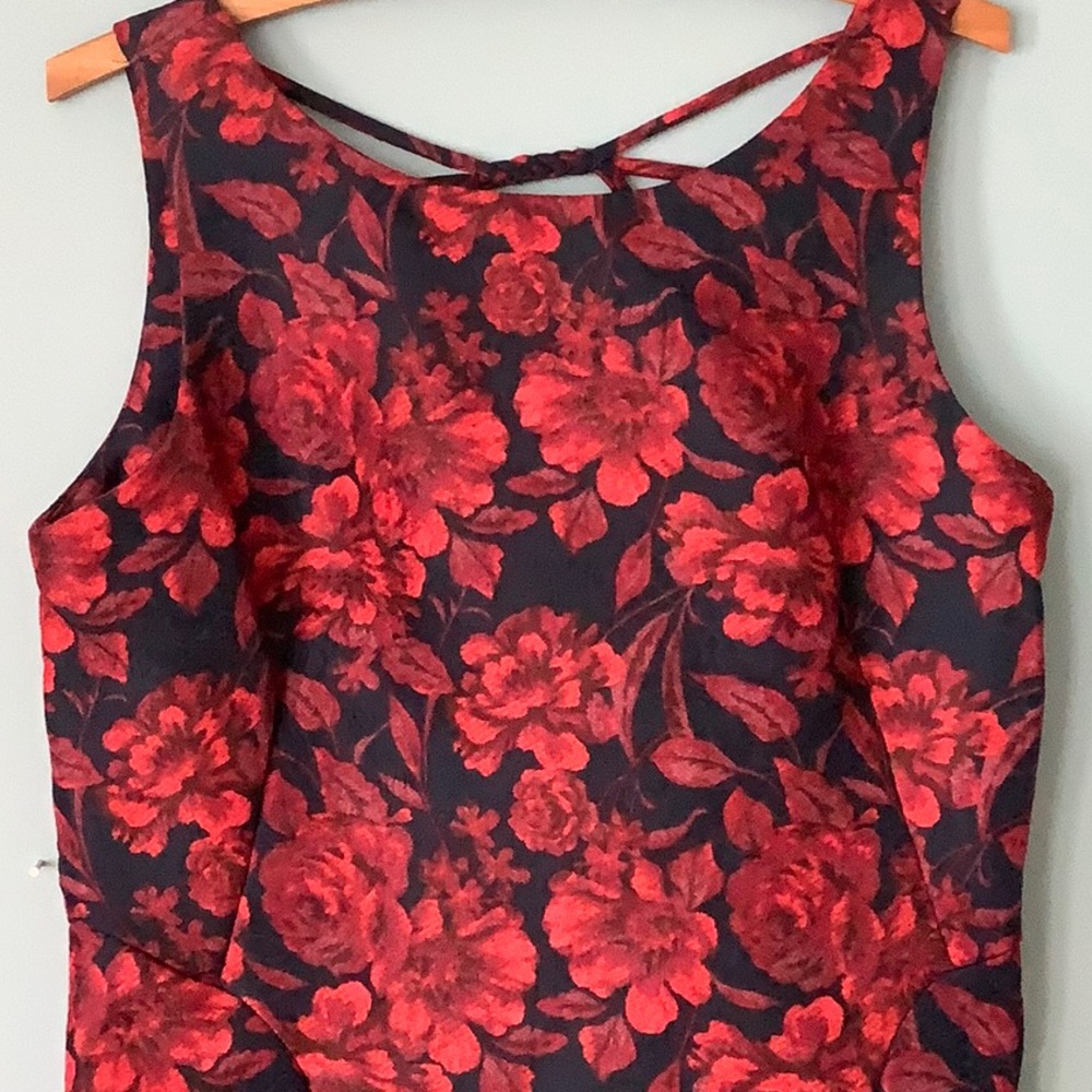 Gabby Skye floral dress